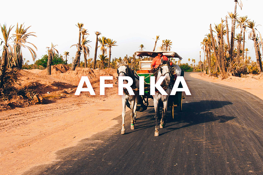 Reisen nach Afrika