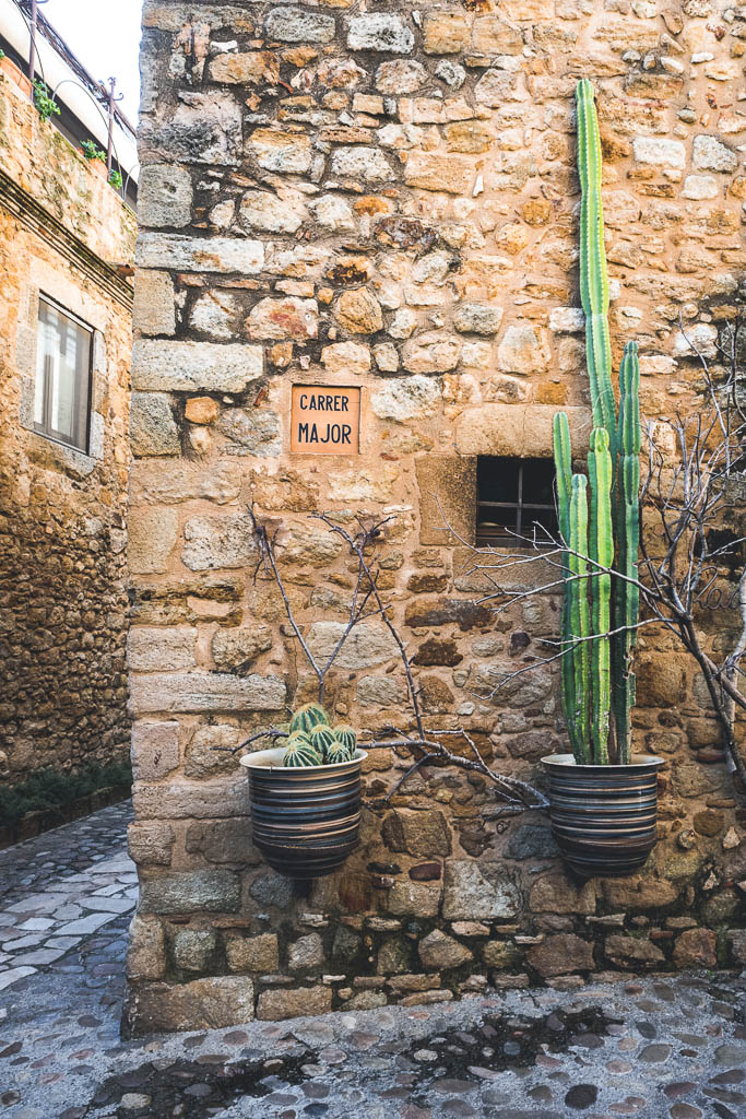 Kaktus an Hauswand Altstadt Pals Katalonien