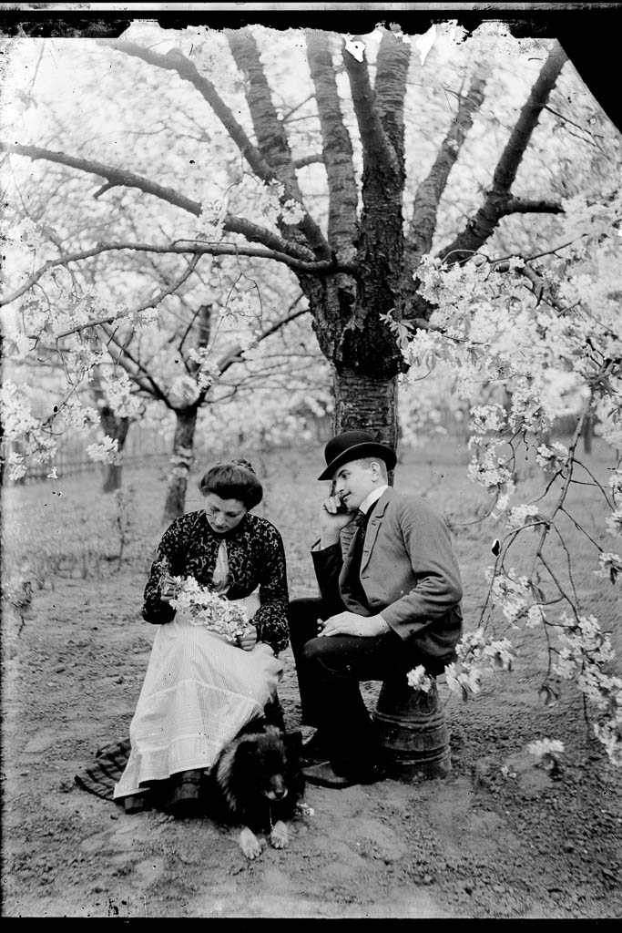 Paar unterm Kirschbaum Foto von Marie Goslich