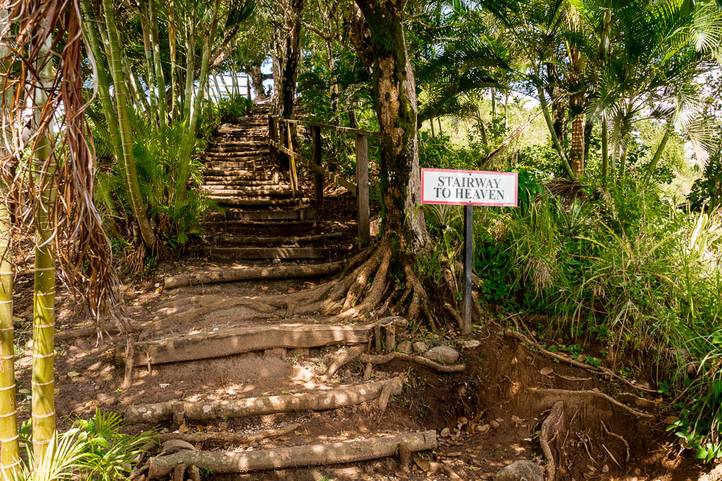 Stairway to heaven Tet Paul Nature Trail Saint Lucia