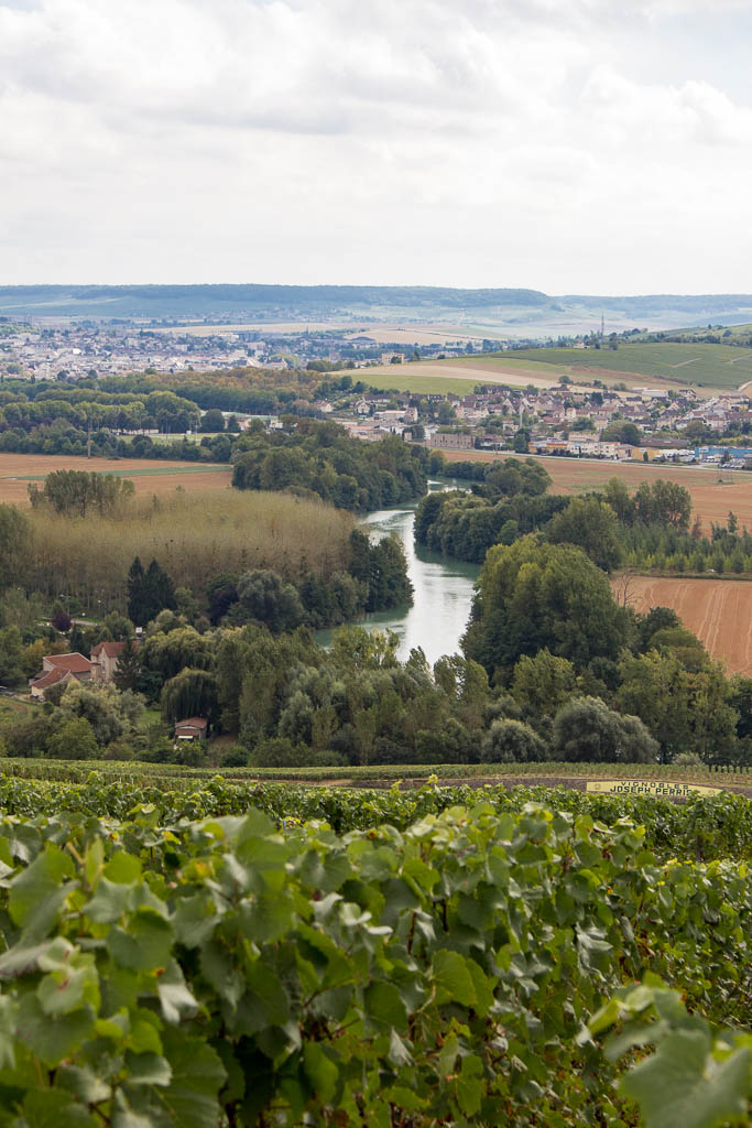 Ausflug von Reims: Die Champagne auf einer Champagner-Tour entdecken