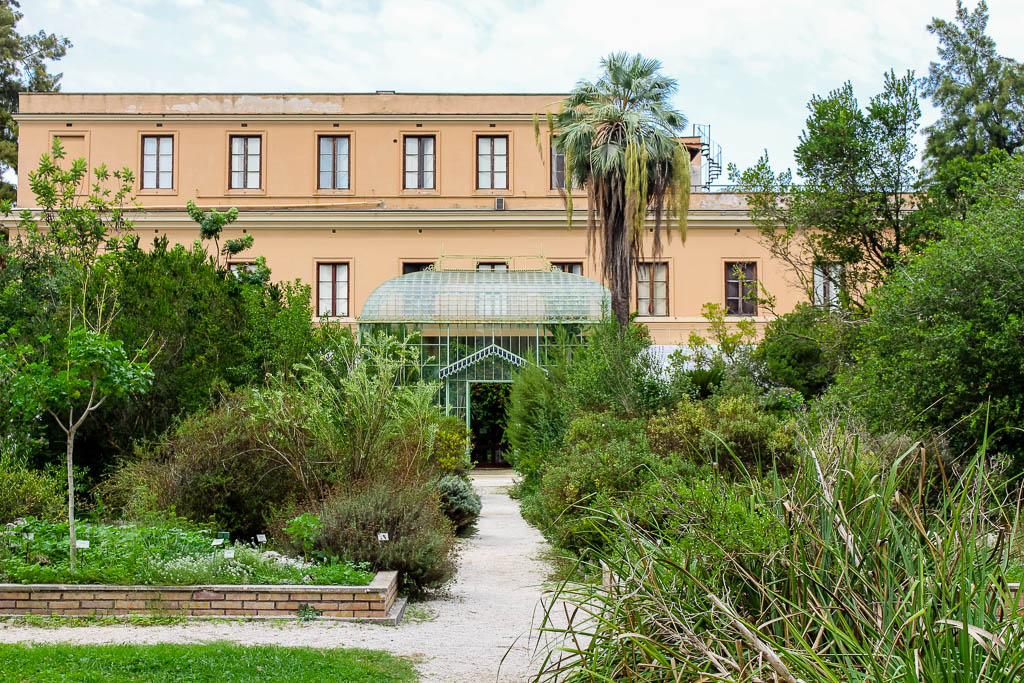 Geheimtipp Rom: der Botanische Garten ( Orto Botanico Rome )