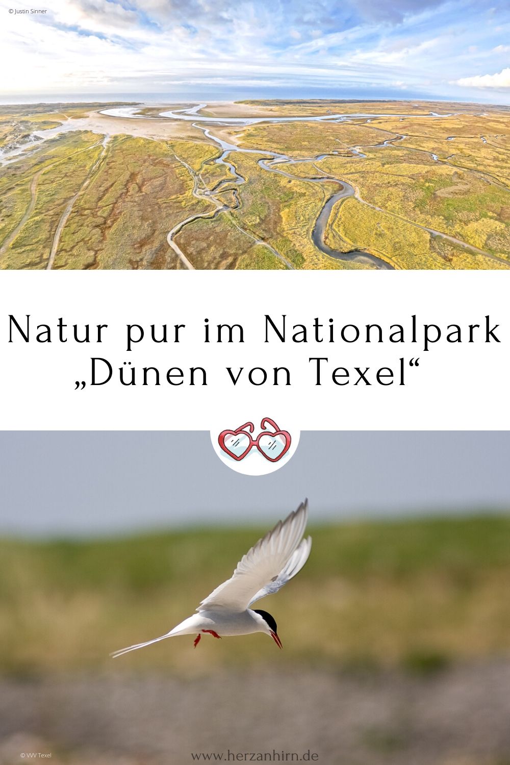 Nationalpark Texel Pinterest Grafik