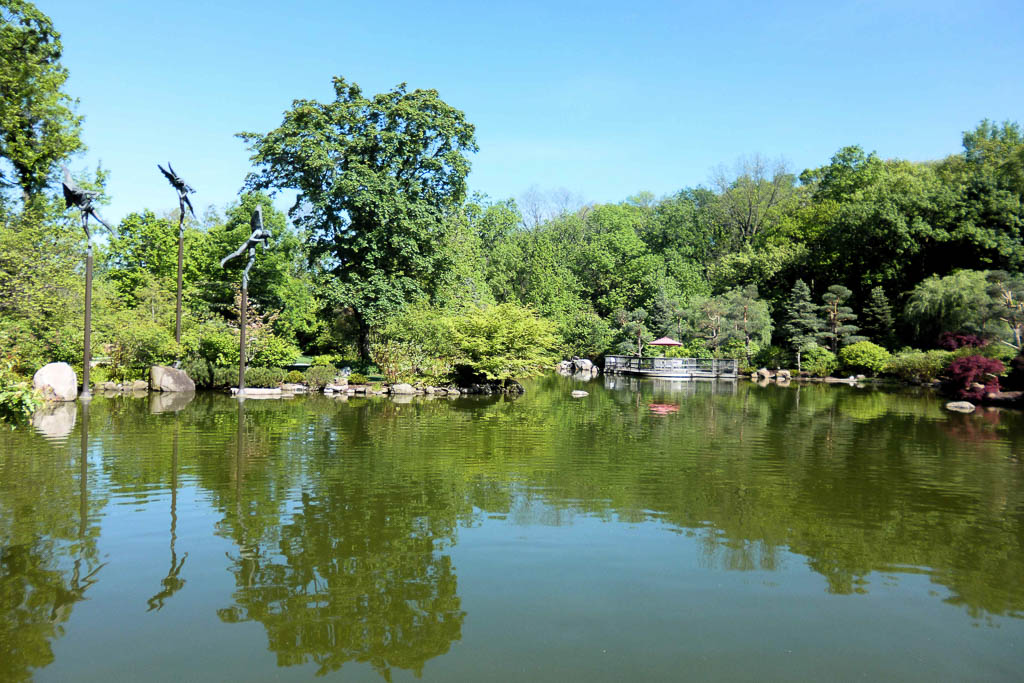 Anderson Japanese Gardens in Rockford Illinois