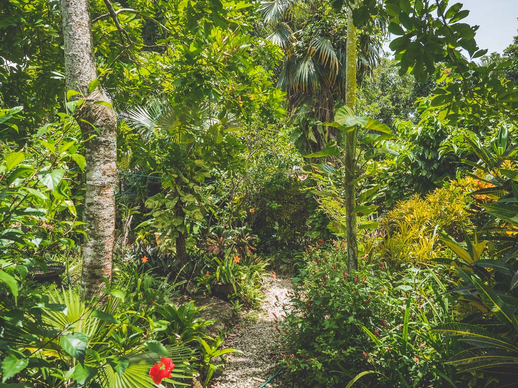 Barney’s Flowers & Hummingbird Garden in Negril Sehenswürdigkeit Jamaika
