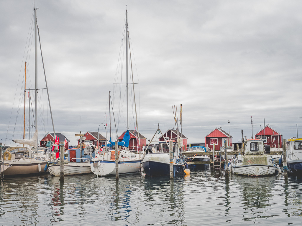 Stevns Klint Bootstour Dänemark Reise-Tipps