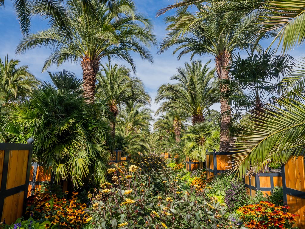 Palmengarten im Kurpark - Meine Tipps für ein Wochenende in und um Bad Pyrmont