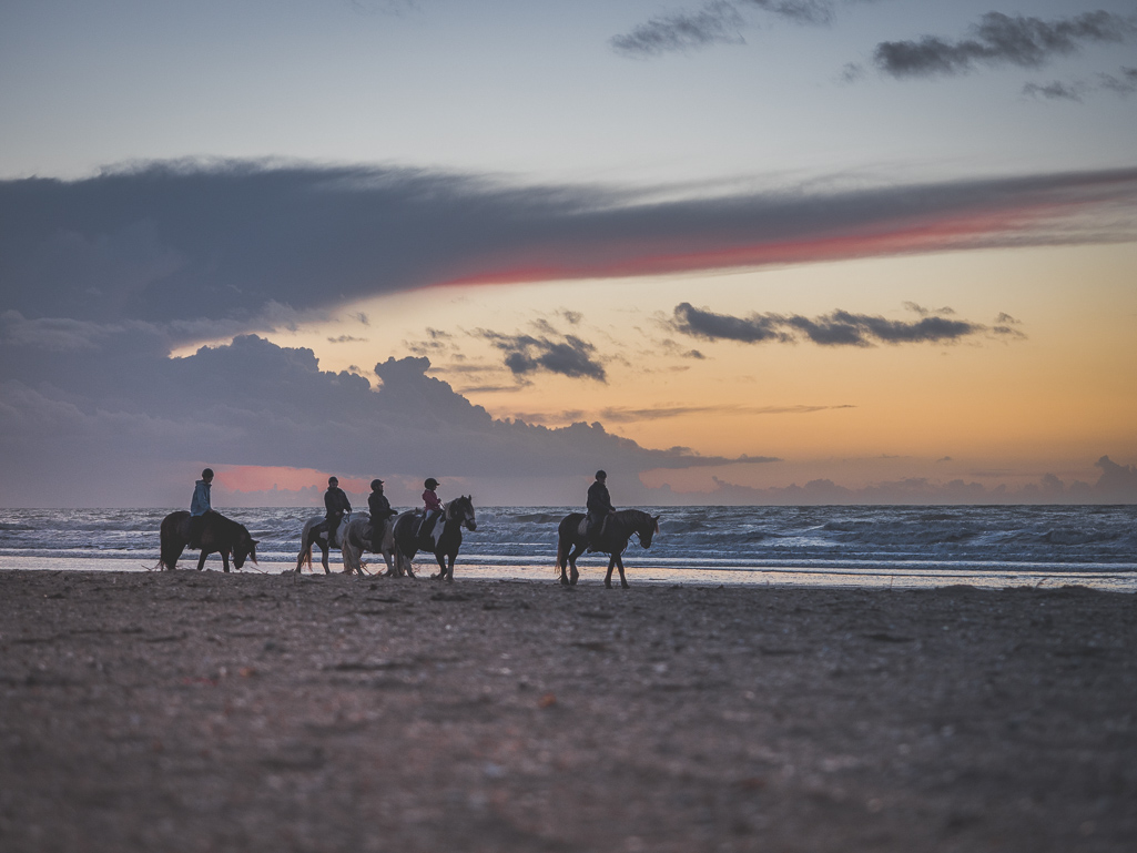 Pferde am Strand - Die schönsten Sehenswürdigkeiten in Deauville