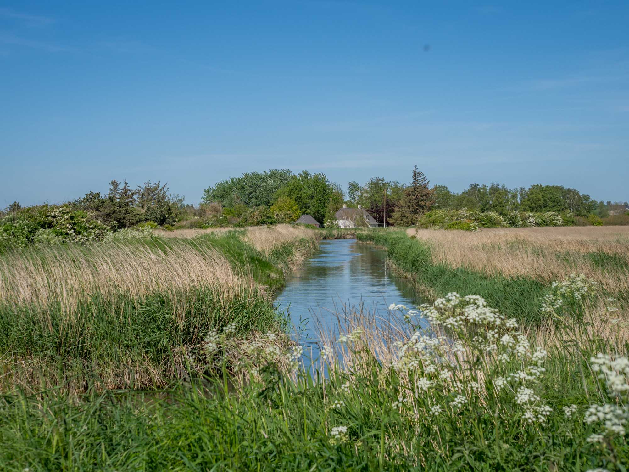 Ærø