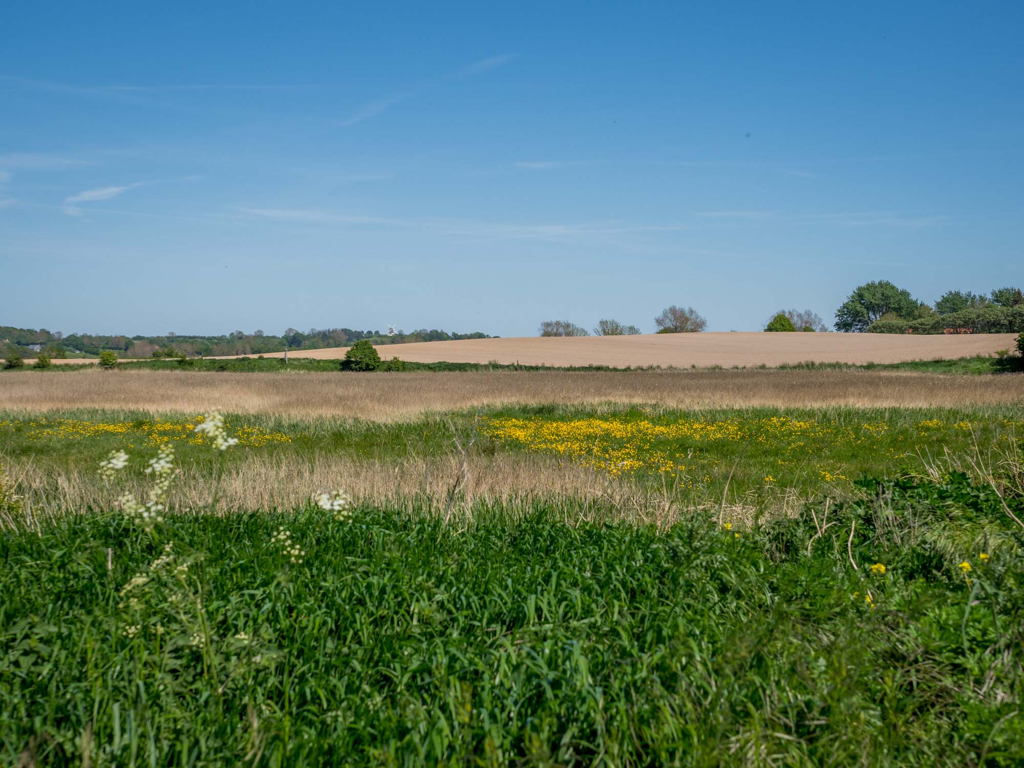 Ærø