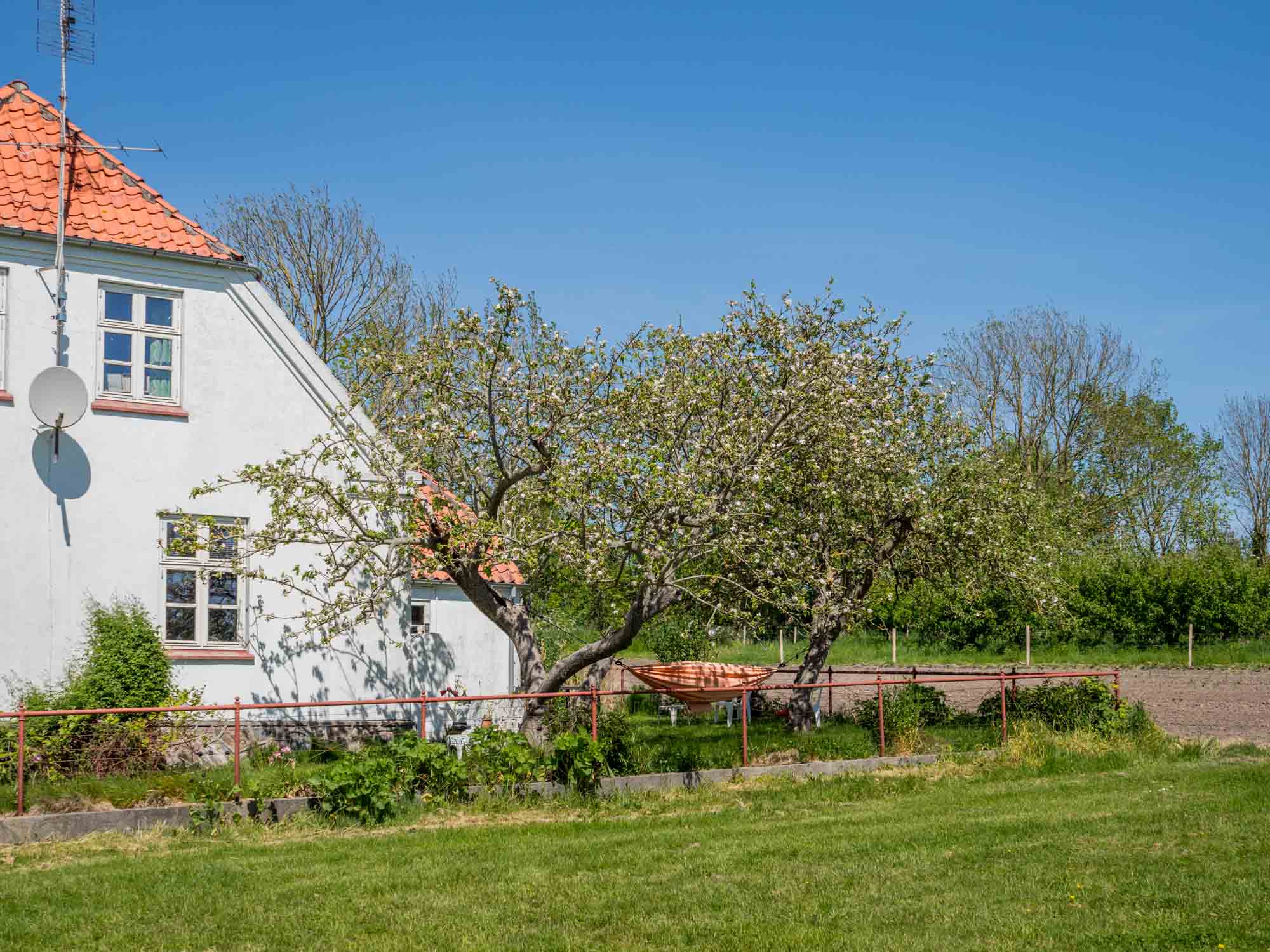 Ærø Brauerei auf Ærø