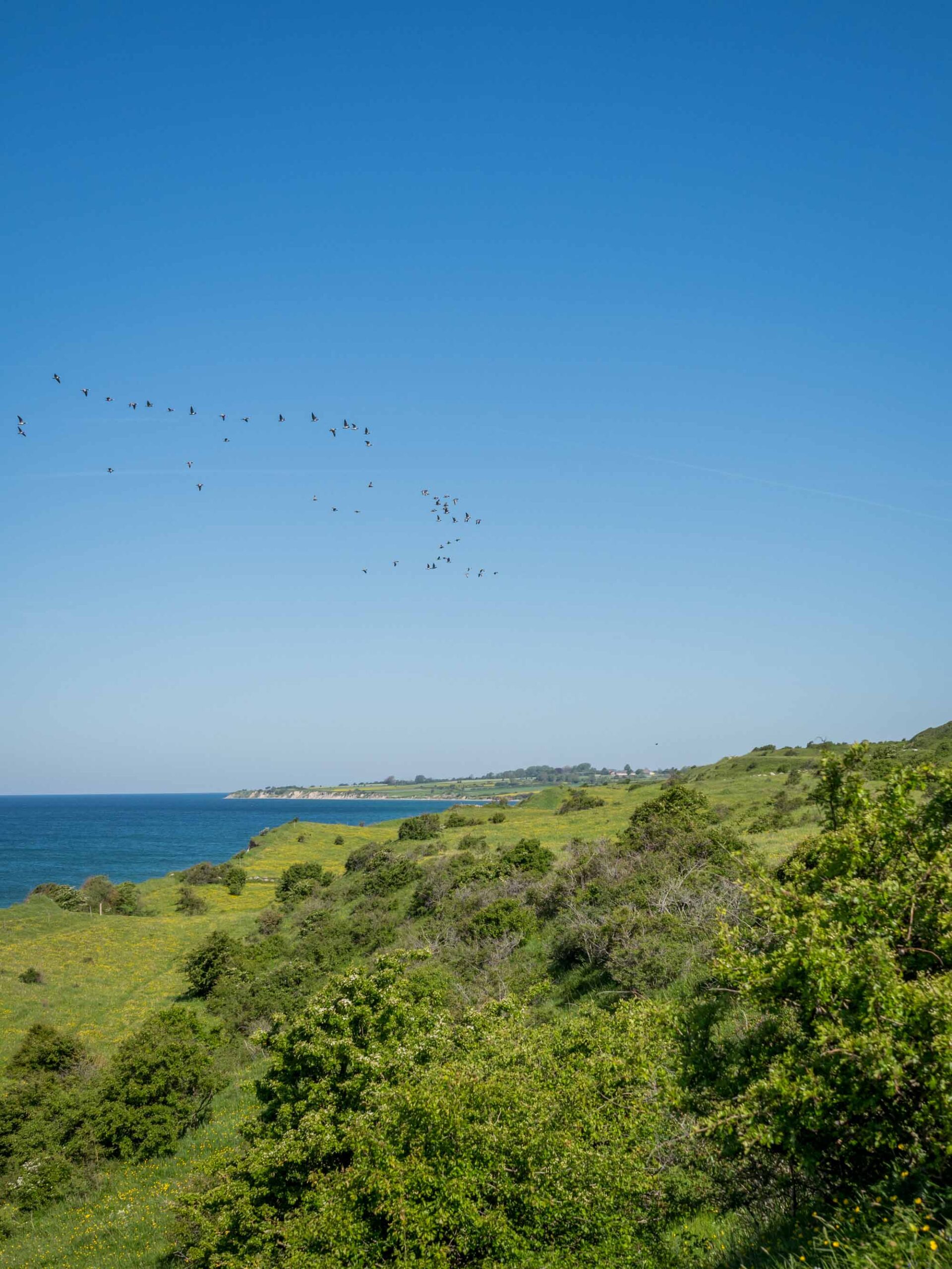 Voderup Klint auf Ærø