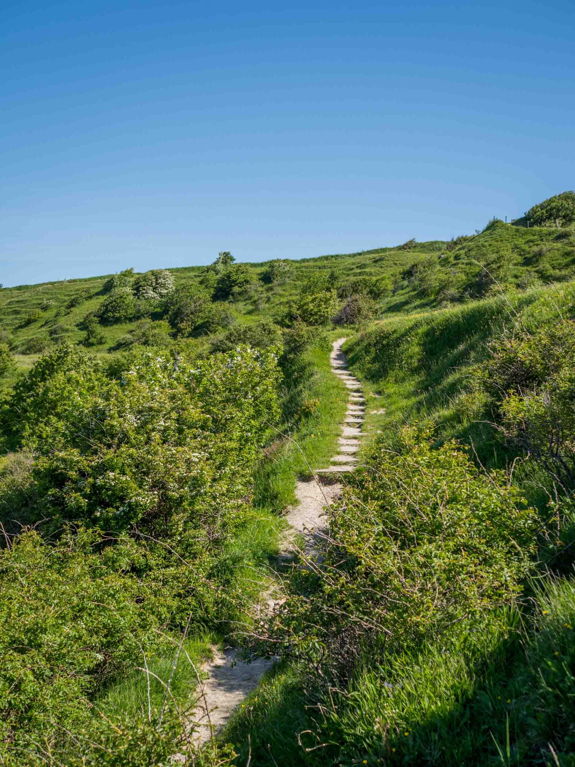 Voderup Klint auf Ærø