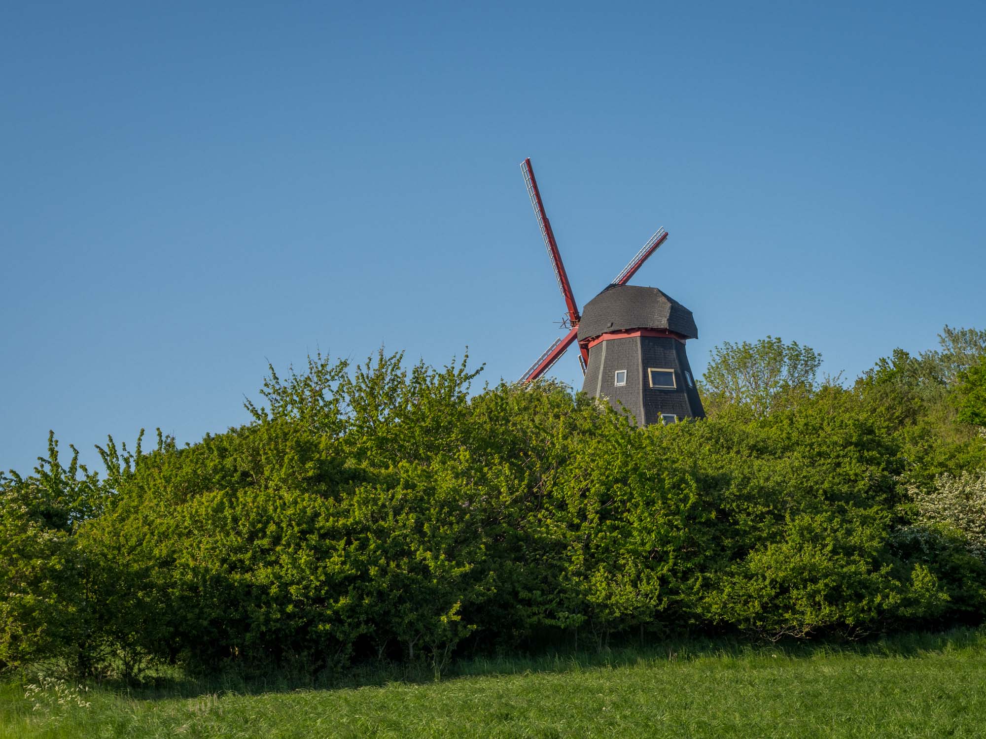 Mühle auf Langeland