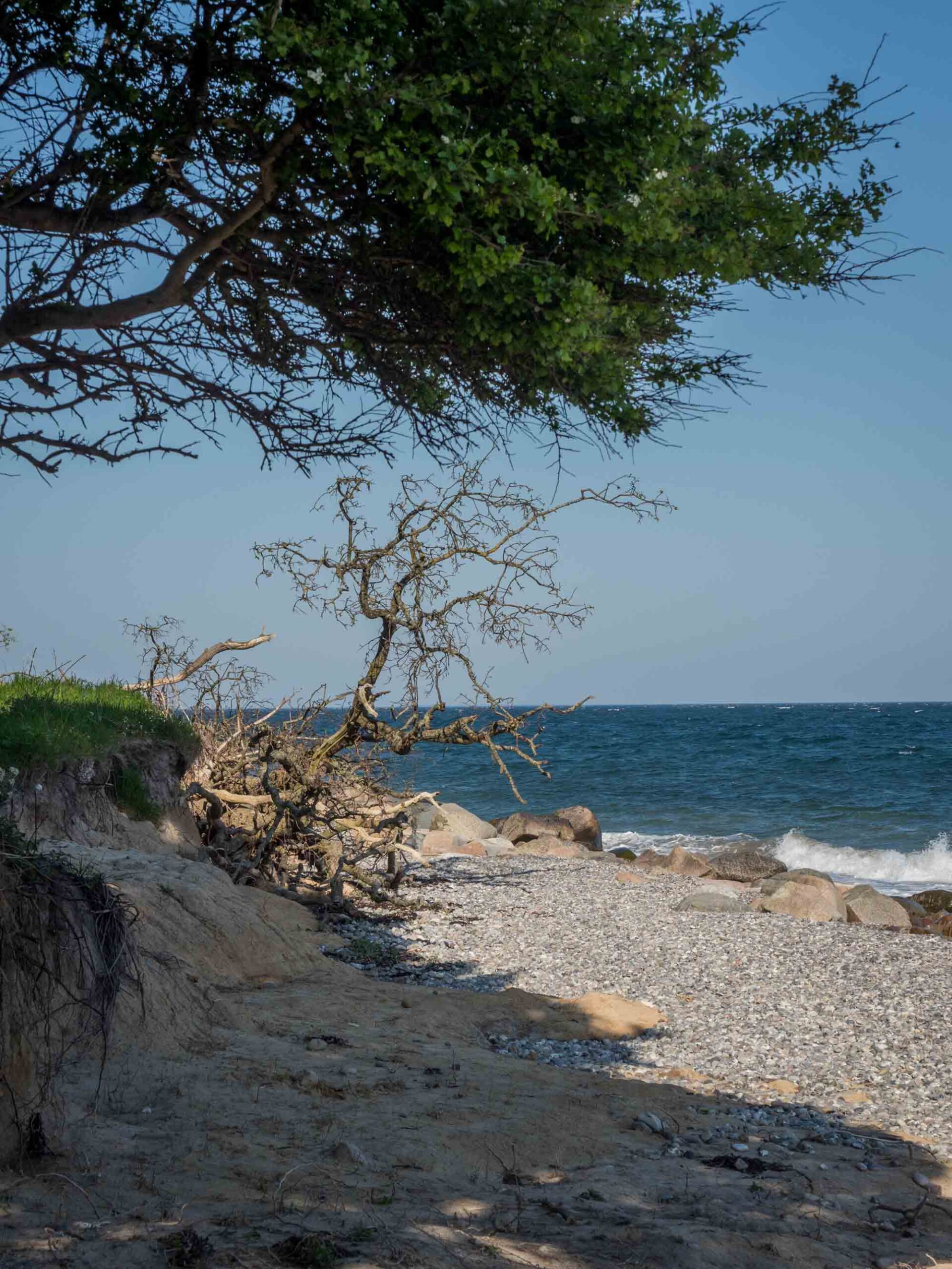 Dovns Klint auf Langeland