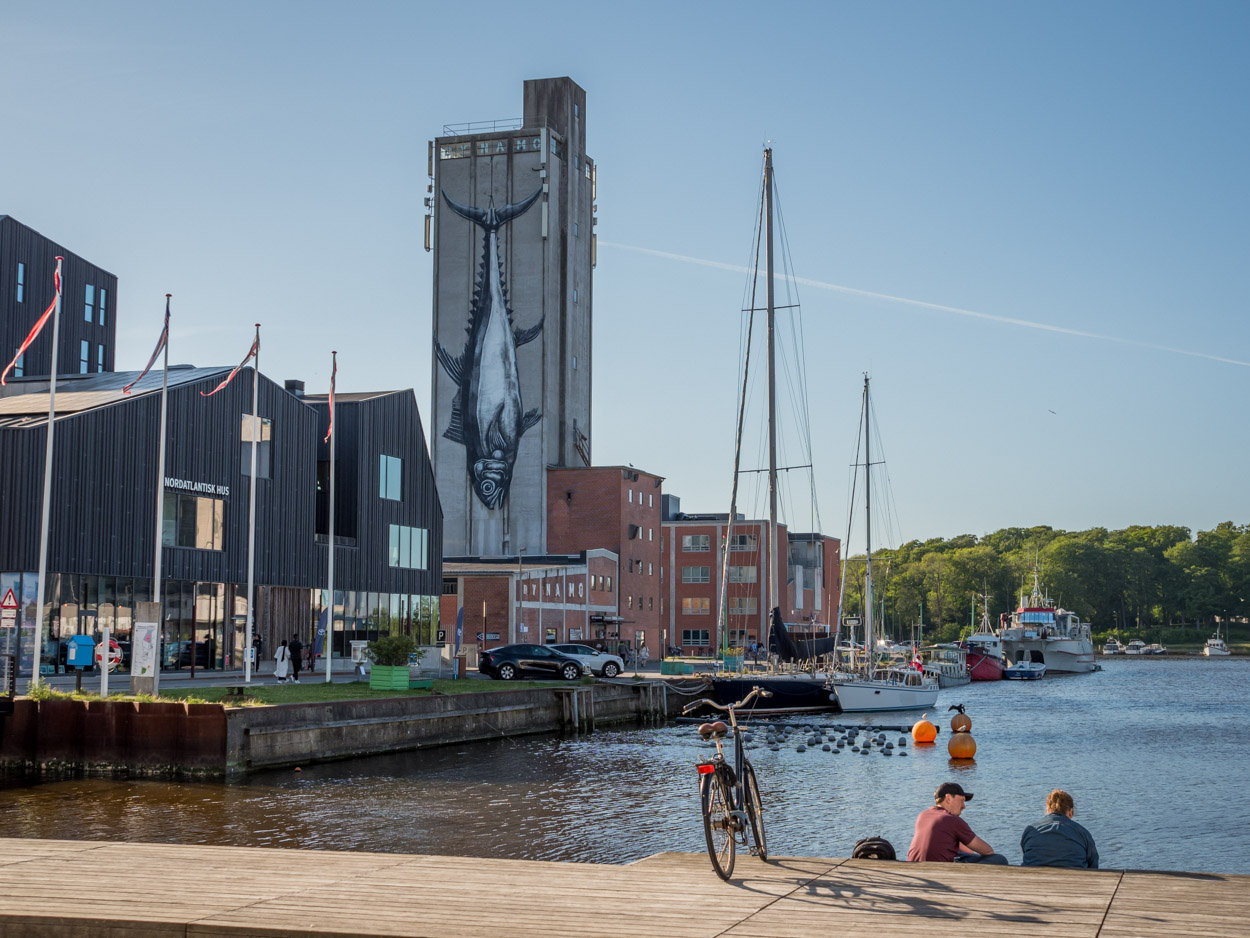 Hafen von Odense