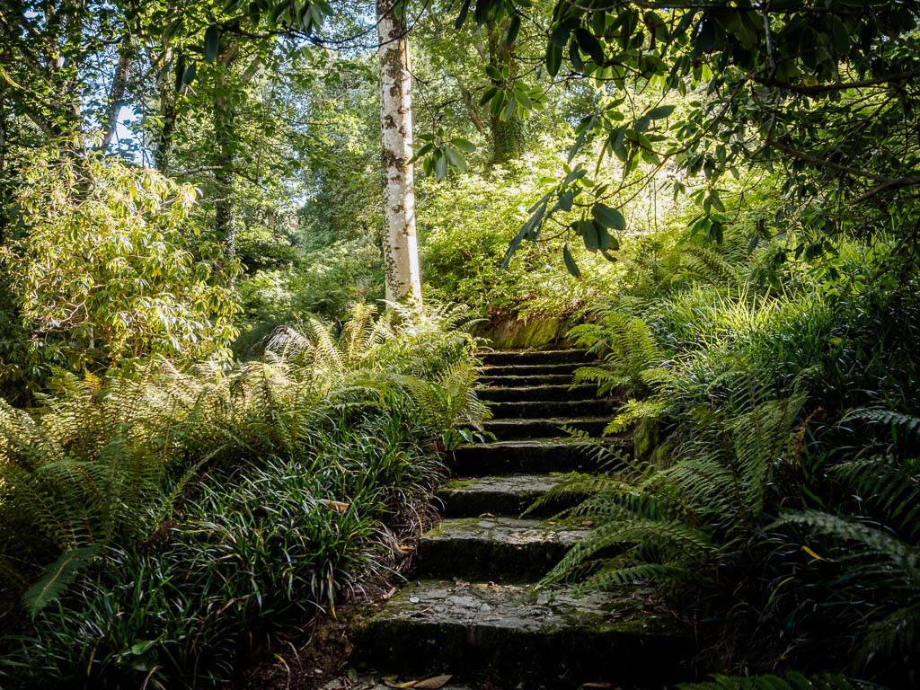 Mount Congreve Gardens in Waterford in Irland