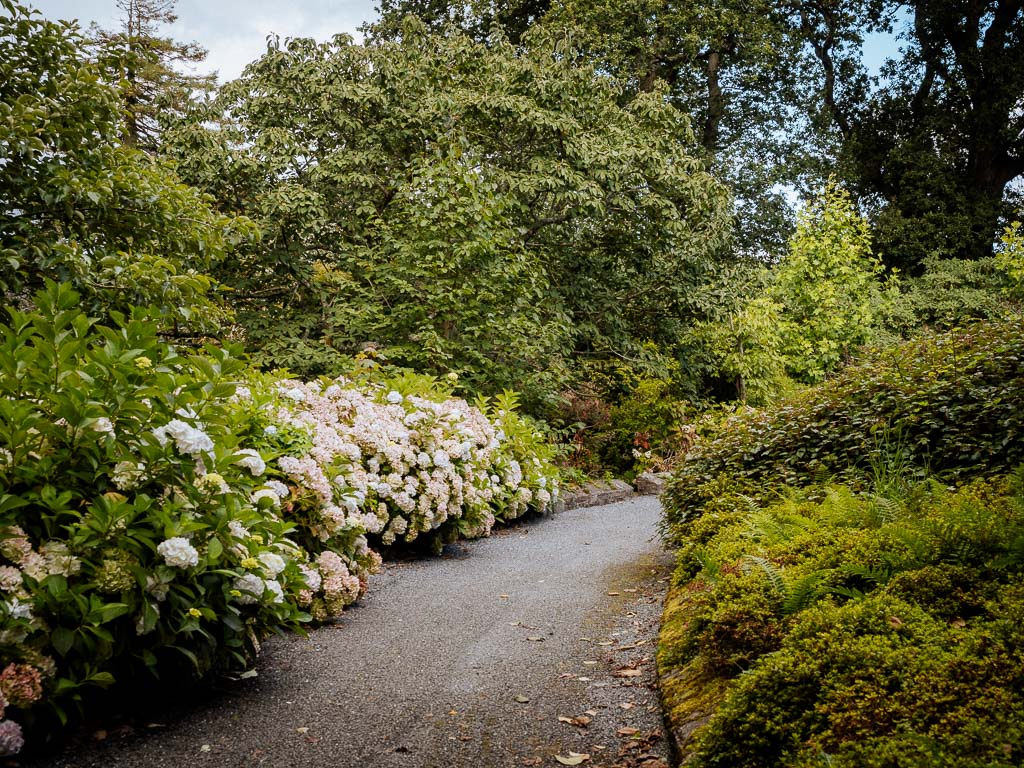 Mount Congreve Gardens in Waterford in Irland