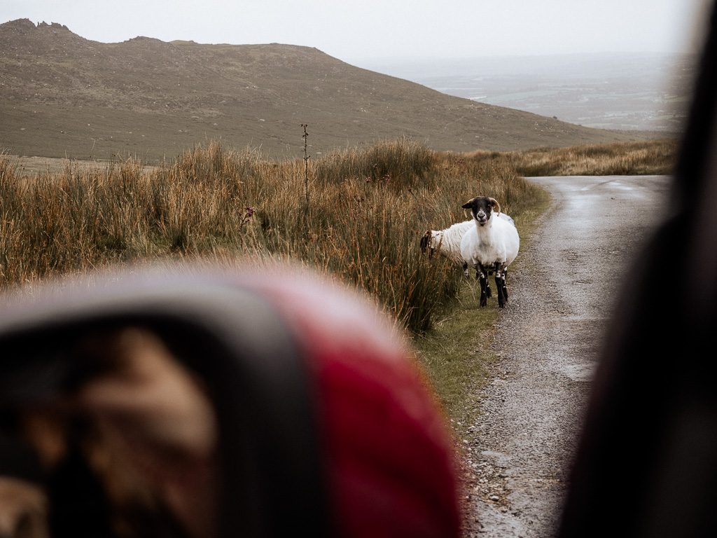 Mahon Falls in Waterford in Irland