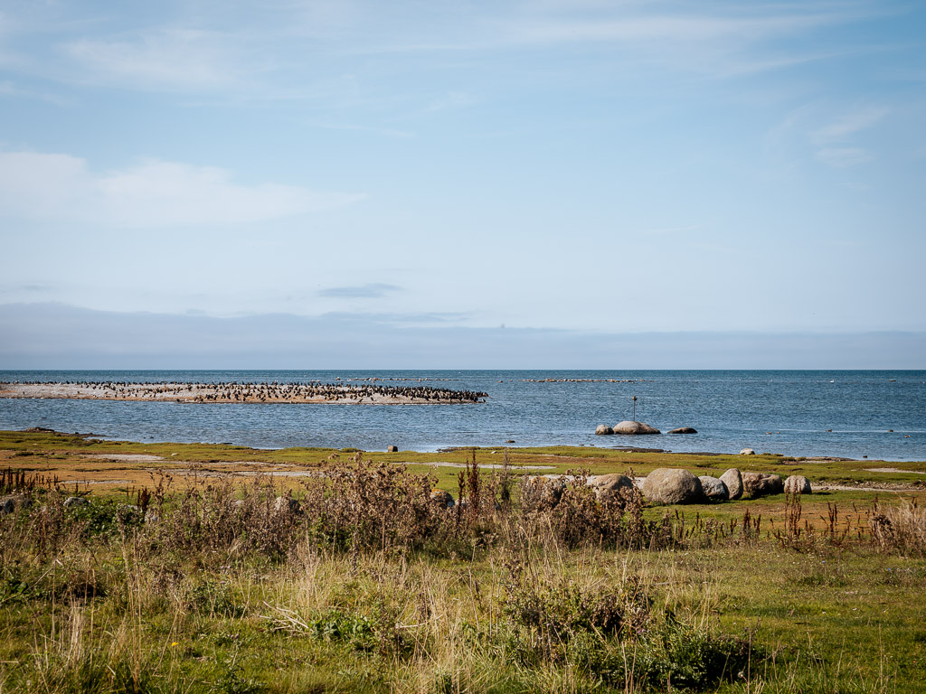 Leuchtturm Långe Jan Öland