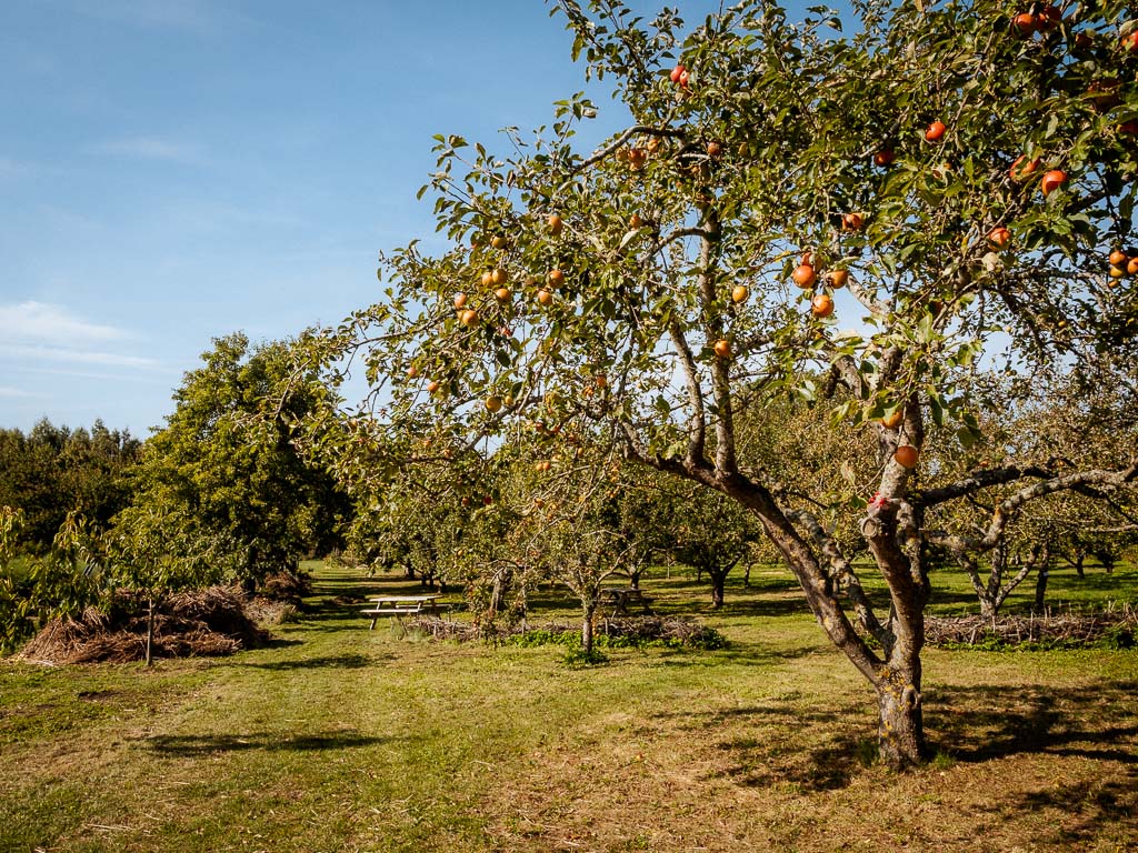 Capellagården Öland