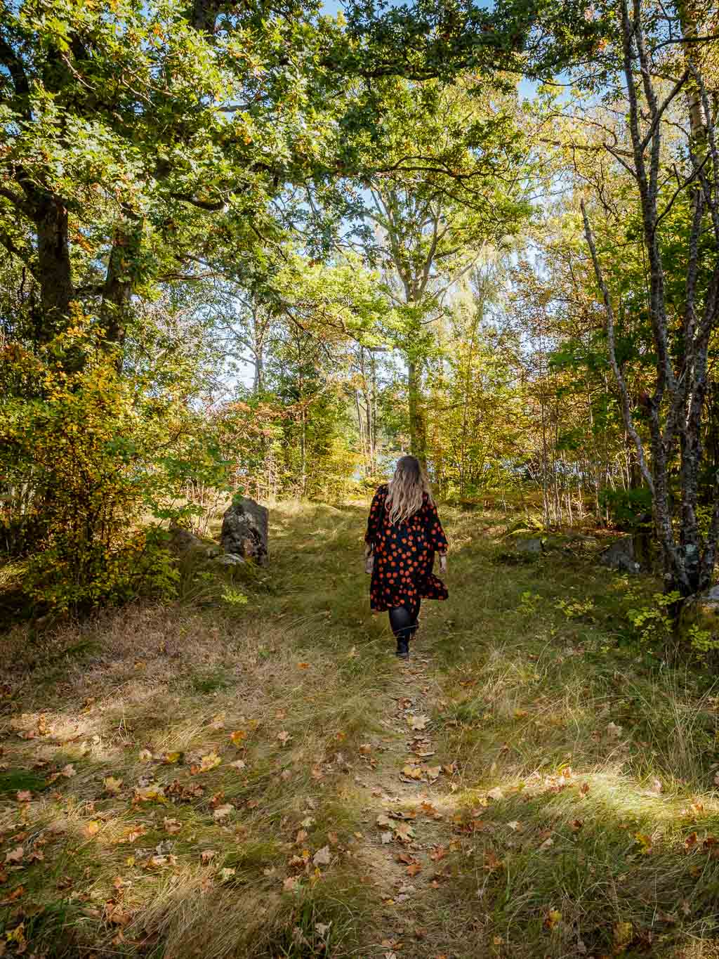 Åsnen Nationalpark