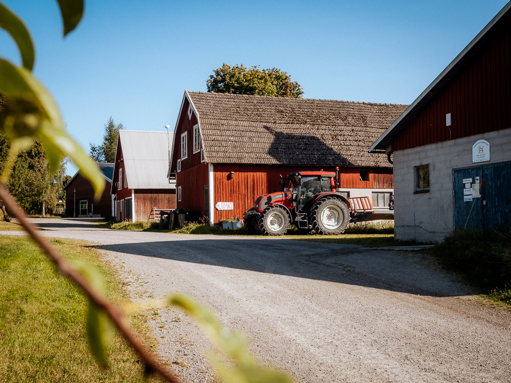 MAT-Rundan Härensås Dairy