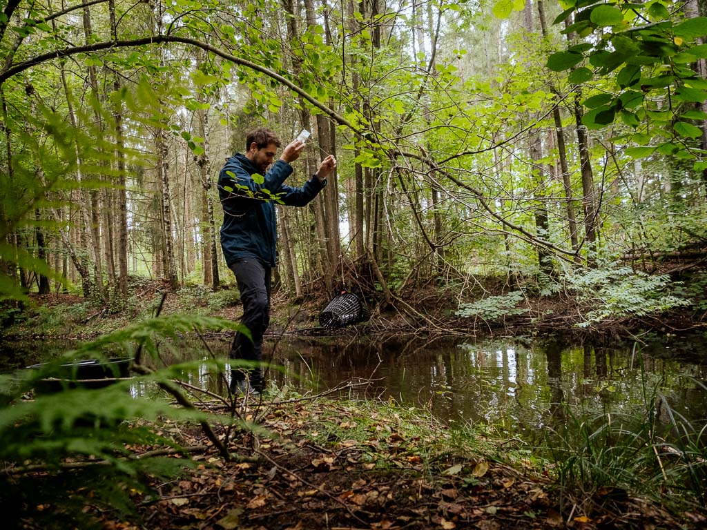 Krabbenfischen in Småland