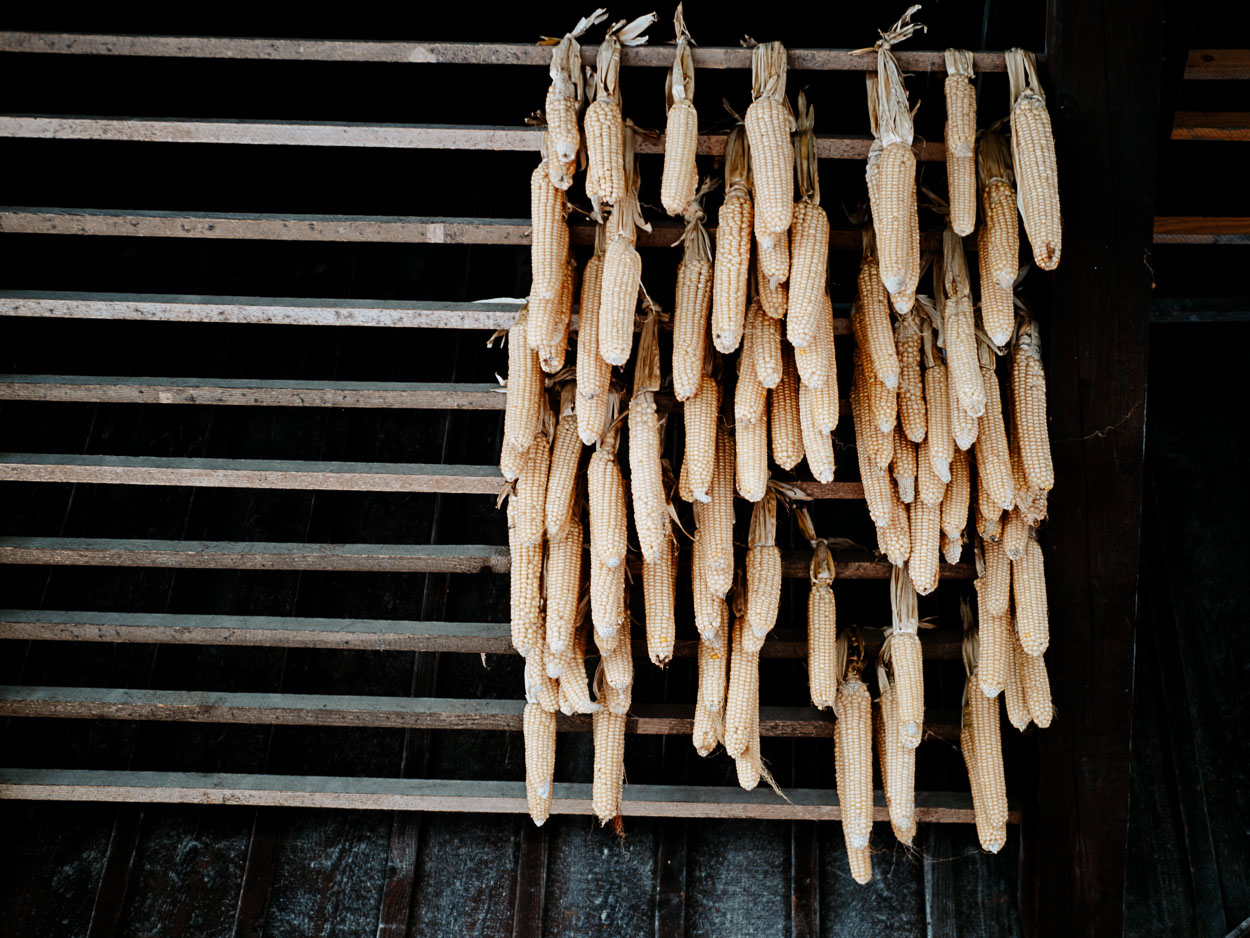 Dietrichs Kostbarkeiten Lauterach Dietrichs Kostbarkeiten Lauterach