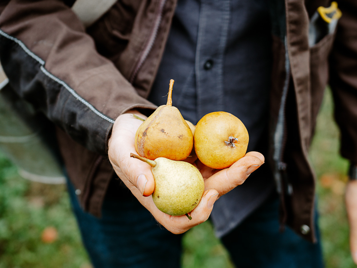 Dietrichs Kostbarkeiten Lauterach Dietrichs Kostbarkeiten Lauterach