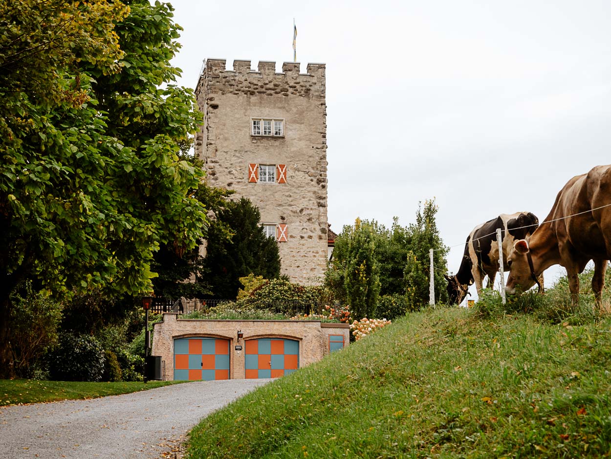 Schloss Wolfurt Schloss Wolfurt