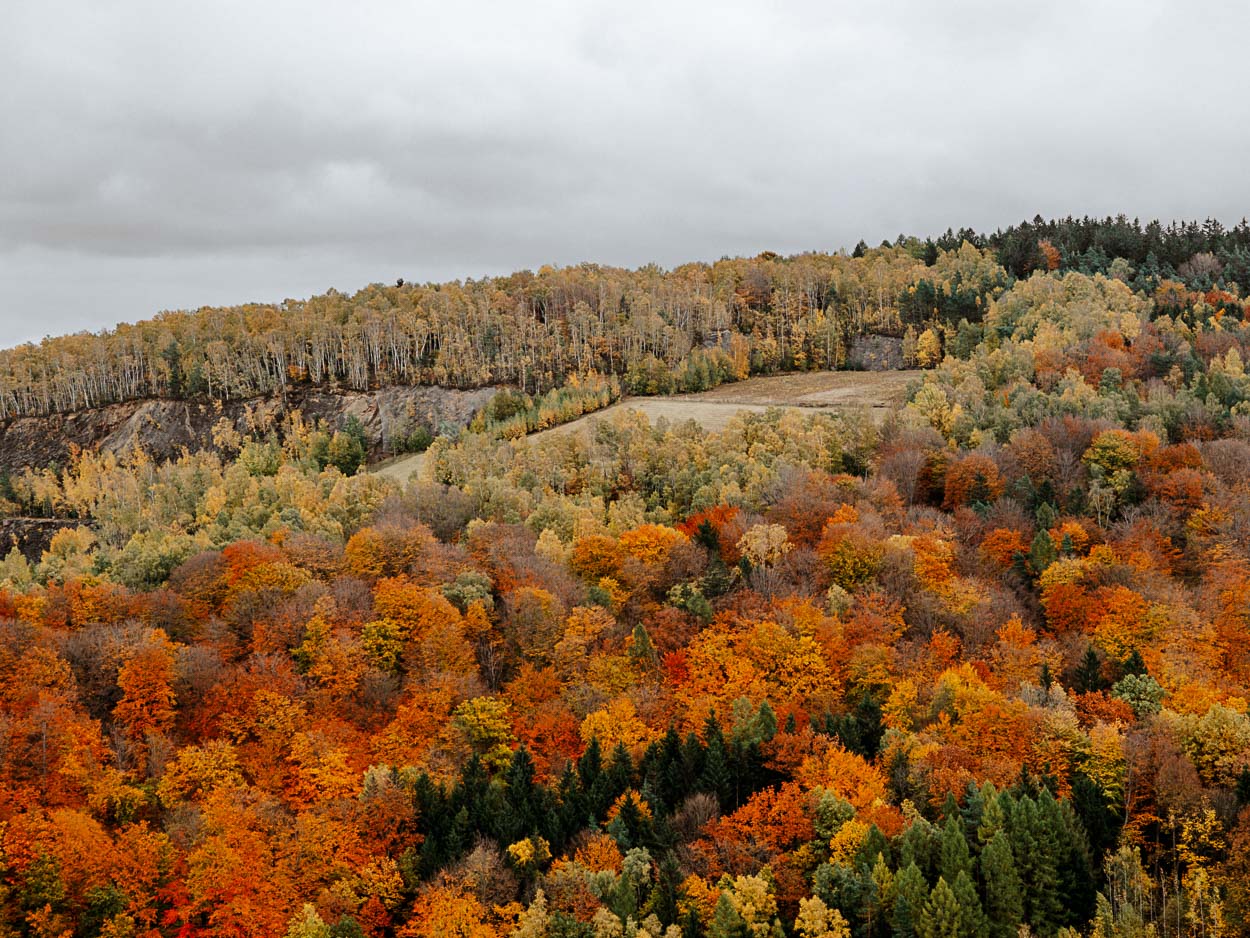 Turmaufstieg Kirche St. Wolfgang in Schneeberg im Erzgebirge Turmaufstieg Kirche St. Wolfgang in Schneeberg im Erzgebirge