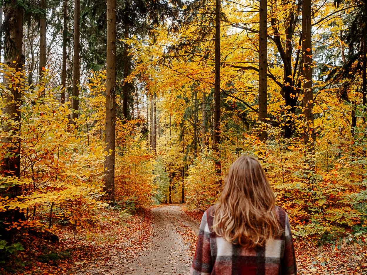 Panorama-Rundweg Schneeberg im Erzgebirge Panorama-Rundweg Schneeberg im Erzgebirge