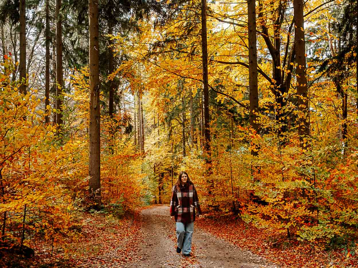 Panorama-Rundweg Schneeberg im Erzgebirge Panorama-Rundweg Schneeberg im Erzgebirge