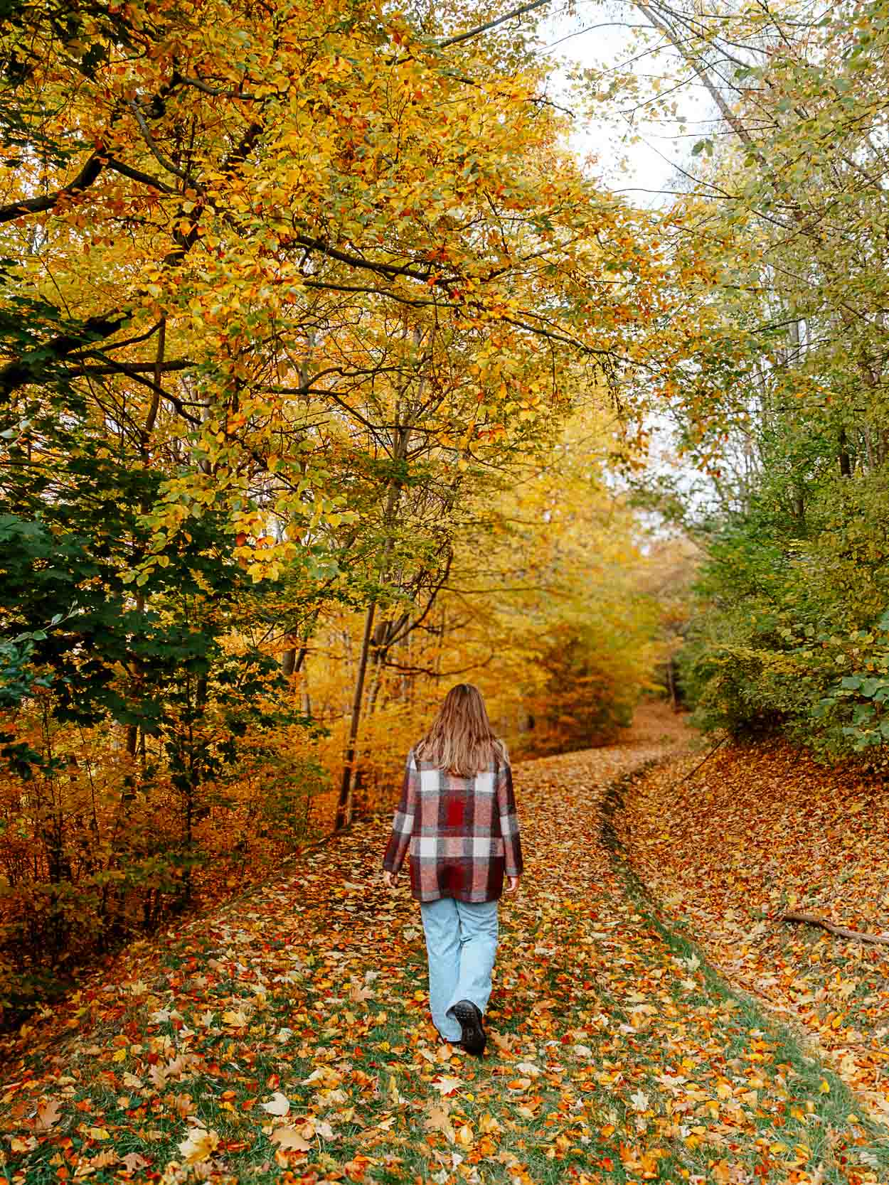 Bergbau- und Sanierungslehrpfad in Bad Schlema im Erzgebirge Bergbau- und Sanierungslehrpfad in Bad Schlema im Erzgebirge