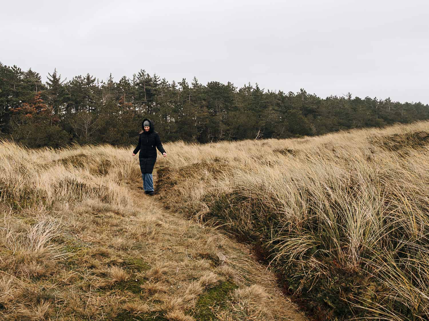 Wandern auf Rømø in Sønderjylland Dänemark Wandern auf Rømø in Sønderjylland Dänemark