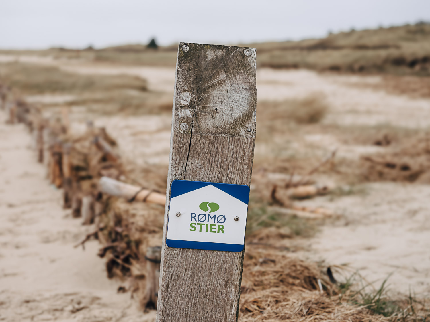 Wandern auf Rømø in Sønderjylland Dänemark Wandern auf Rømø in Sønderjylland Dänemark